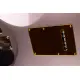 Magneto Guitars Sonnet RawDawg III Sunset Gold Eric Gales Signature c/saco