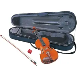 Violinos 3/4