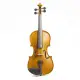 Stentor VIOLINO 3/4 Student II