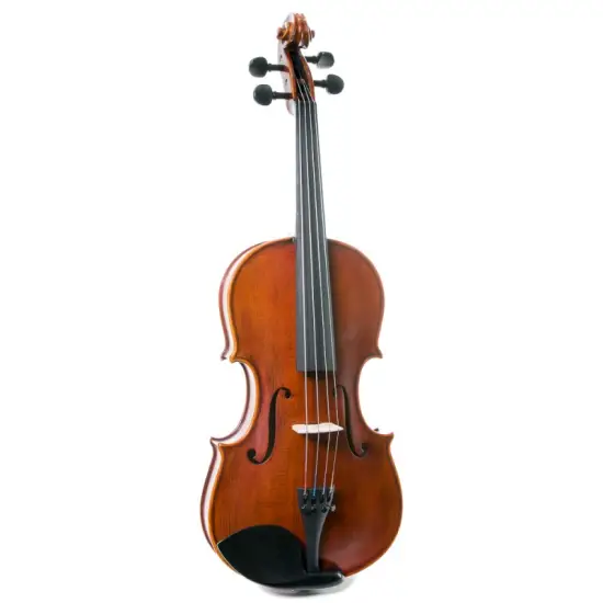Corina VIOLA ARCO 13