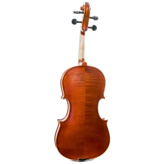 Corina VIOLA ARCO 13