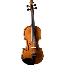 Violinos 3/4
