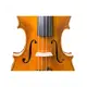 Antonio Wang VIOLINO 4/4 Verona