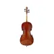Stentor VIOLONCELO 3/4 Student II SH