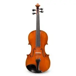 Eastman Strings VIOLINO 4/4 Albert Nebel VL601G