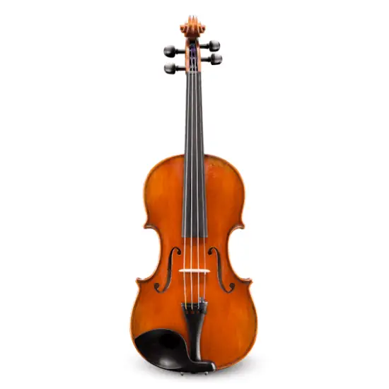 Eastman Strings VIOLINO 4/4 Albert Nebel VL601G