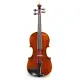 Eastman Strings VIOLINO 4/4 Rudoulf Doetsch VL701G