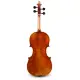 Eastman Strings VIOLINO 4/4 Rudoulf Doetsch VL701G