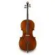 Eastman Strings VIOLONCELO 4/4 Ivan Dunov Superior VC402