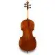 Eastman Strings VIOLONCELO 4/4 Ivan Dunov Superior VC402