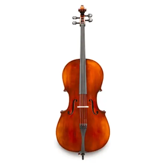 Eastman Strings VIOLONCELO 4/4 Andreas Eastman VC305