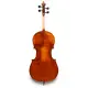 Eastman Strings VIOLONCELO 4/4 Andreas Eastman VC305