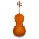 Eastman Strings VIOLONCELO 4/4 Andreas Eastman VC250