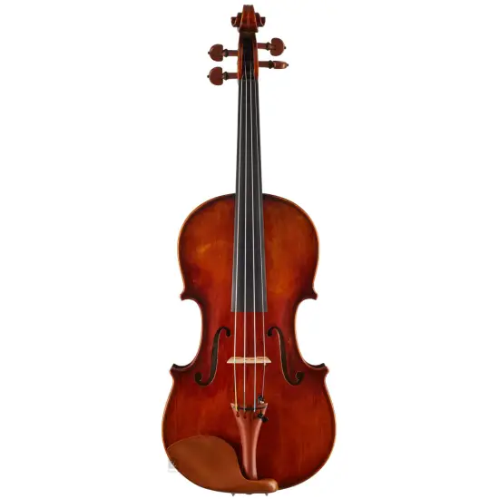 Eastman Strings VIOLINO 4/4 Amsterdam VL2AA