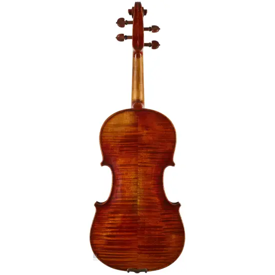 Eastman Strings VIOLINO 4/4 Amsterdam VL2AA