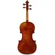 Eastman Strings VIOLINO 4/4 Amsterdam VL2AA