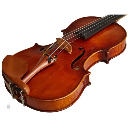 Eastman Strings VIOLINO 4/4 Amsterdam VL2AA