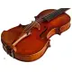 Eastman Strings VIOLINO 4/4 Amsterdam VL2AA