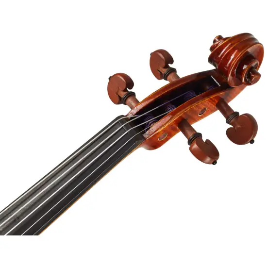 Eastman Strings VIOLINO 4/4 Amsterdam VL2AA