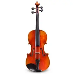 Eastman Strings VIOLINO 4/4 Andreas Eastman VL605