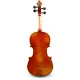 Eastman Strings VIOLINO 4/4 Andreas Eastman VL605