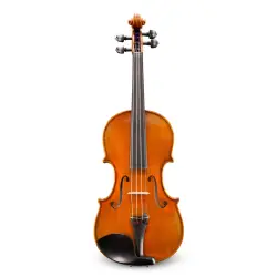 Eastman Strings VIOLINO 4/4 Wilhelm Klier VL702G