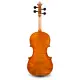 Eastman Strings VIOLINO 4/4 Wilhelm Klier VL702G