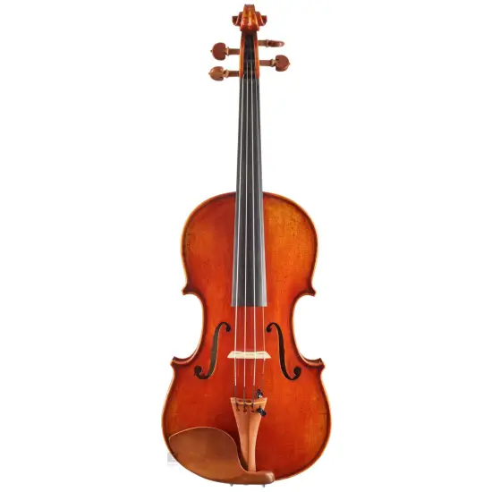 Eastman Strings VIOLINO 4/4 Amsterdam VL3AA