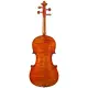 Eastman Strings VIOLINO 4/4 Amsterdam VL3AA