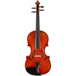 Eastman Strings VIOLINO 4/4 Frederich Wyss VL703G