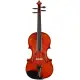 Eastman Strings VIOLINO 4/4 Frederich Wyss VL703G