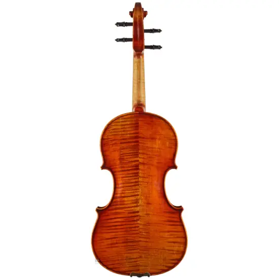 Eastman Strings VIOLINO 4/4 Frederich Wyss VL703G
