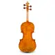 Eastman Strings VIOLINO 4/4 Raúl Emiliani VL928