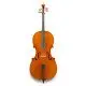 Eastman Strings VIOLONCELO 4/4 Amsterdam VC3AA