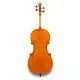 Eastman Strings VIOLONCELO 4/4 Amsterdam VC3AA