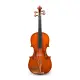 Eastman Strings VIOLA ARCO 15