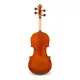 Eastman Strings VIOLA ARCO 15