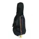 Amadeus VIOLONCELO 1/4 CA 101   USADO