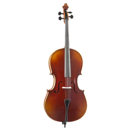 F. MÜLLER VIOLONCELO 4/4 Soloist