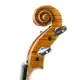 Antonio Wang VIOLINO 4/4 Mr. Danio Wu, Master Signature