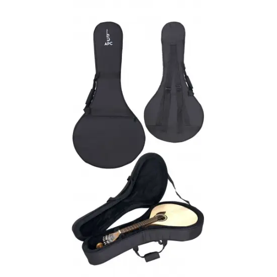APC GUITARRA PORTUGUESA Lisboa GF312 LS