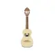 APC CAVAQUINHO Simples 101
