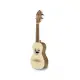 APC CAVAQUINHO Simples 101