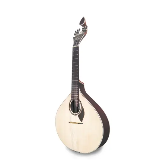 APC GUITARRA PORTUGUESA Coimbra 312CB c/estojo