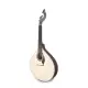 APC GUITARRA PORTUGUESA Coimbra 312CB c/estojo