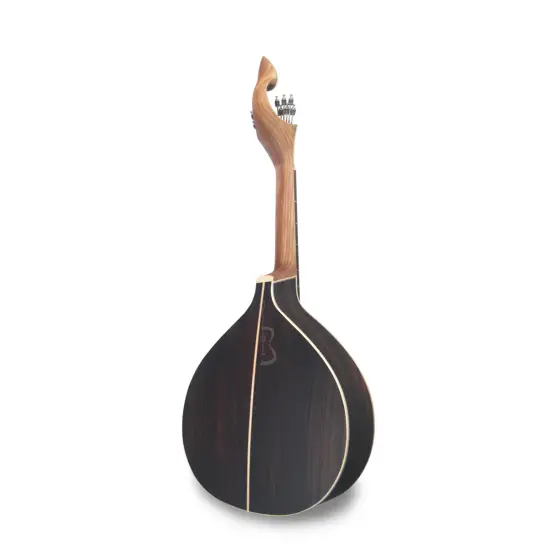 APC GUITARRA PORTUGUESA Coimbra 312CB c/estojo