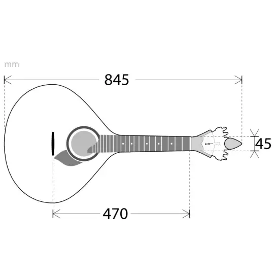 APC GUITARRA PORTUGUESA Coimbra 312CB c/estojo