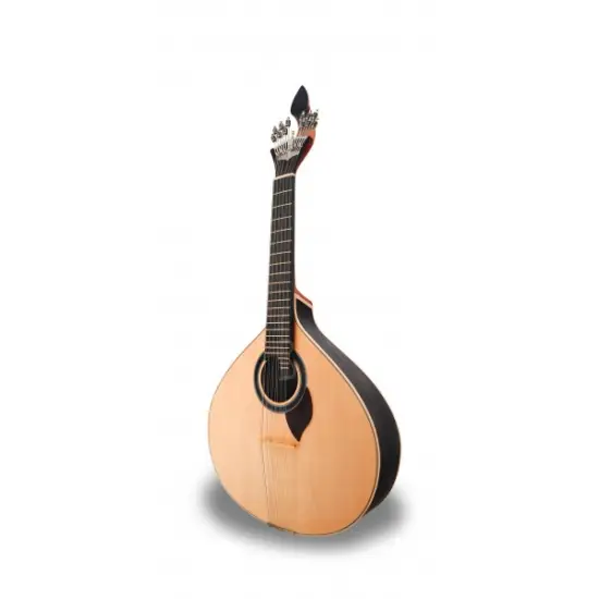 APC GUITARRA PORTUGUESA Coimbra 310CB