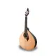 APC GUITARRA PORTUGUESA Coimbra 310CB