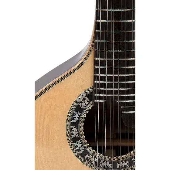 APC GUITARRA PORTUGUESA Coimbra 310CB
